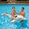 Delfin gigant gonflabil 58539