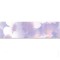 Brau violet Cesarom Ski - 25 x 6.5 cm