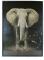 Tablou cu ceas inramat Heinner HR-FA911-70/100 Elefant