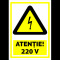 Indicator pentru atentie 220V