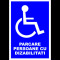 Indicator pentru persoane cu dizabilitati