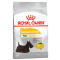 Hrana uscata pentru caini Royal Canin CCN Mini Dermacomfort, 8 kg