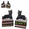 Cutie bijuterii pisicuta neagra pe carti Spellbound 13 cm
