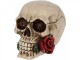 Statueta craniu Un trandafir de dincolo de moarte 15 cm