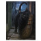 Tablou canvas pisica neagra O Intalnire Magica 19x25cm - Lisa Parker