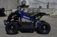 ATV Eco Avenger 1000W 36V