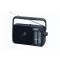 Radio portabil Panasonic - RF-2400EG9-K