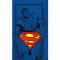 Prosop fata Superman 30x50 cm SunCity CBX191112SUP