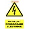 Indicator descarcari electrice