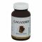 GAGASIBIR 13g - Regele Ciupercilor Medicinale