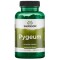 Swanson Pygeum 500 mg 100 Capsule