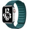 Curea iUni compatibila cu Apple Watch 1/2/3/4/5/6/7, 38mm, Leather Link, Green