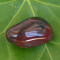 Piatra semipretioasa Bloodstone - Heliotrope, 1 buc de 2.5 - 3.5 cm